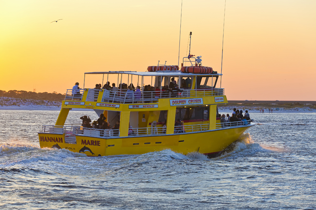 dolphin cruises in destin fl